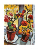 Blumen am Fenster