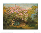 Blossoming Lilac in the Sun, c.1873