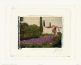 Buy Burgundy Region, Paris at AllPosters.com