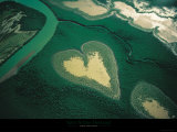 Coeur de Voh