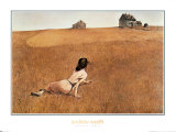 Christina's World Art Print