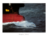 Dauphin Pilote