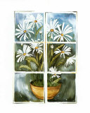 Daisies at the Window