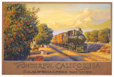 Buy Wonderful California at AllPosters.com