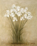 Floral Sprays