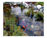 Buy Garden Koi Pond at AllPosters.com