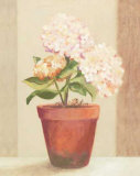 Buy Hydrangeas in Red Pot at AllPosters.com