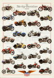 Harley Davidson Legend