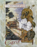 Buy Islands of the Caribbean at AllPosters.com