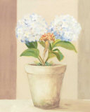 Buy Hydrangeas in White Pot at AllPosters.com