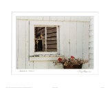 Jonathan's Window