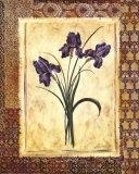 Buy Moroccan Iris at AllPosters.com