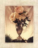 Buy Nature's Theater II at AllPosters.com
