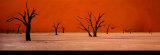 Buy Namibie at AllPosters.com