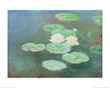Water Lilies by Nightfall