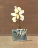 Buy Orchids in Glass at AllPosters.com