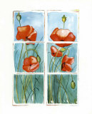 Poppies at the Window