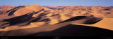 Buy Sahara at AllPosters.com