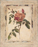 Buy Rose Texture II at AllPosters.com