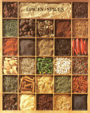Buy Spices at AllPosters.com