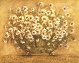 So Many Daisies