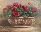 Buy Sunwashed Geraniums at AllPosters.com