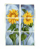 Sunflowers at the Window