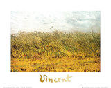 The Wheat Field