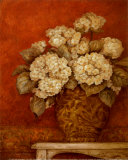 Villa Flora Hydrangeas