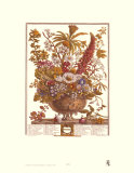 Twelve Months of Flowers, 1730, December Art Print