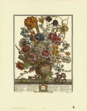 Twelve Months of Flowers, 1730, March Art Print