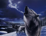 Howling Wolves