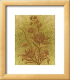 Buy Amalia Tulips at AllPosters.com