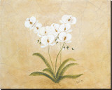 Buy Flower I at AllPosters.com