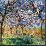 Spring in Giverny