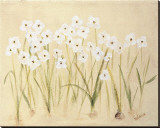Buy Flower III at AllPosters.com