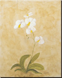 Buy Flower II at AllPosters.com