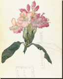 Rhodendron