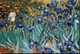 Buy Irises, Saint-Remy, c.1889 at AllPosters.com