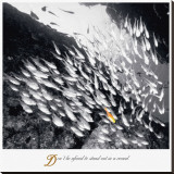 Buy Stand Out at AllPosters.com