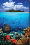 Buy Tropical Scenery I at AllPosters.com