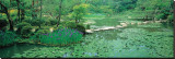 Japanese Garden