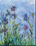 Buy Irises (detail) at AllPosters.com
