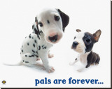 Pals Are Forever