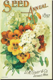 Buy Seed Annual 1897, D.M. Ferry & Co., Detroit, Michigan at AllPosters.com