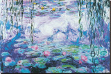 Buy Water Lilies at AllPosters.com
