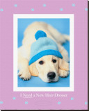Buy I Need a New Hairdresser at AllPosters.com