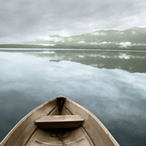 Lake Quinault Art Print