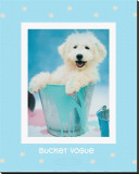 Buy Bucket Vogue at AllPosters.com