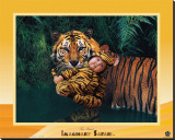 Buy Tiger at AllPosters.com